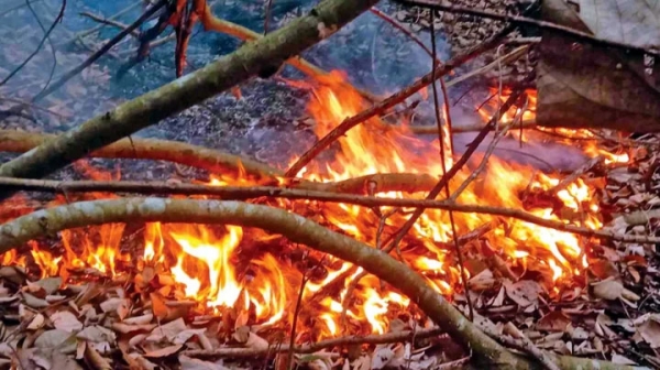 সুন্দরবনে আগুন ছড়িয়েছে অন্তত ৪ একর জায়গাজুড়ে