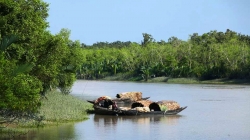 সুন্দরবনে পর্যটকের খরা