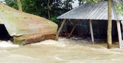 বন্যায় কারিগরি বোর্ডের পরীক্ষা স্থগিত